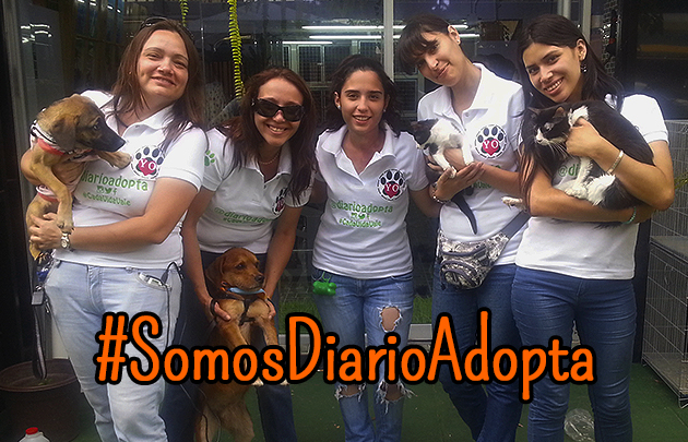Somos Diario Adopta, las integrantes de la fundación.