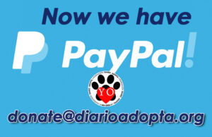 we have PayPal